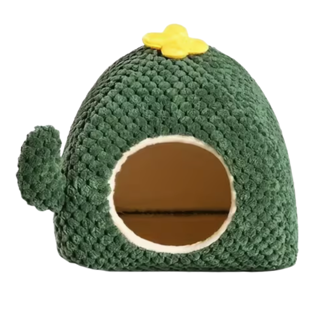 Casa de cactus