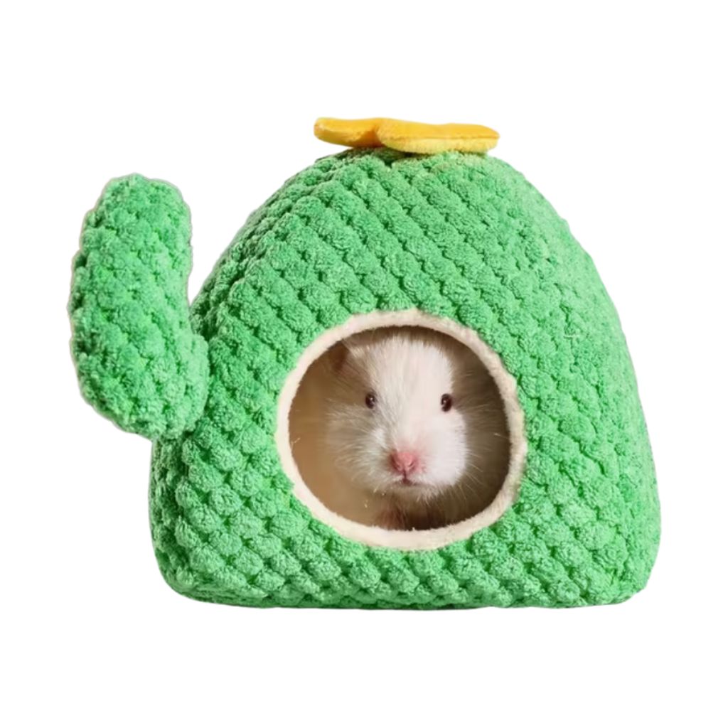 Casa de cactus