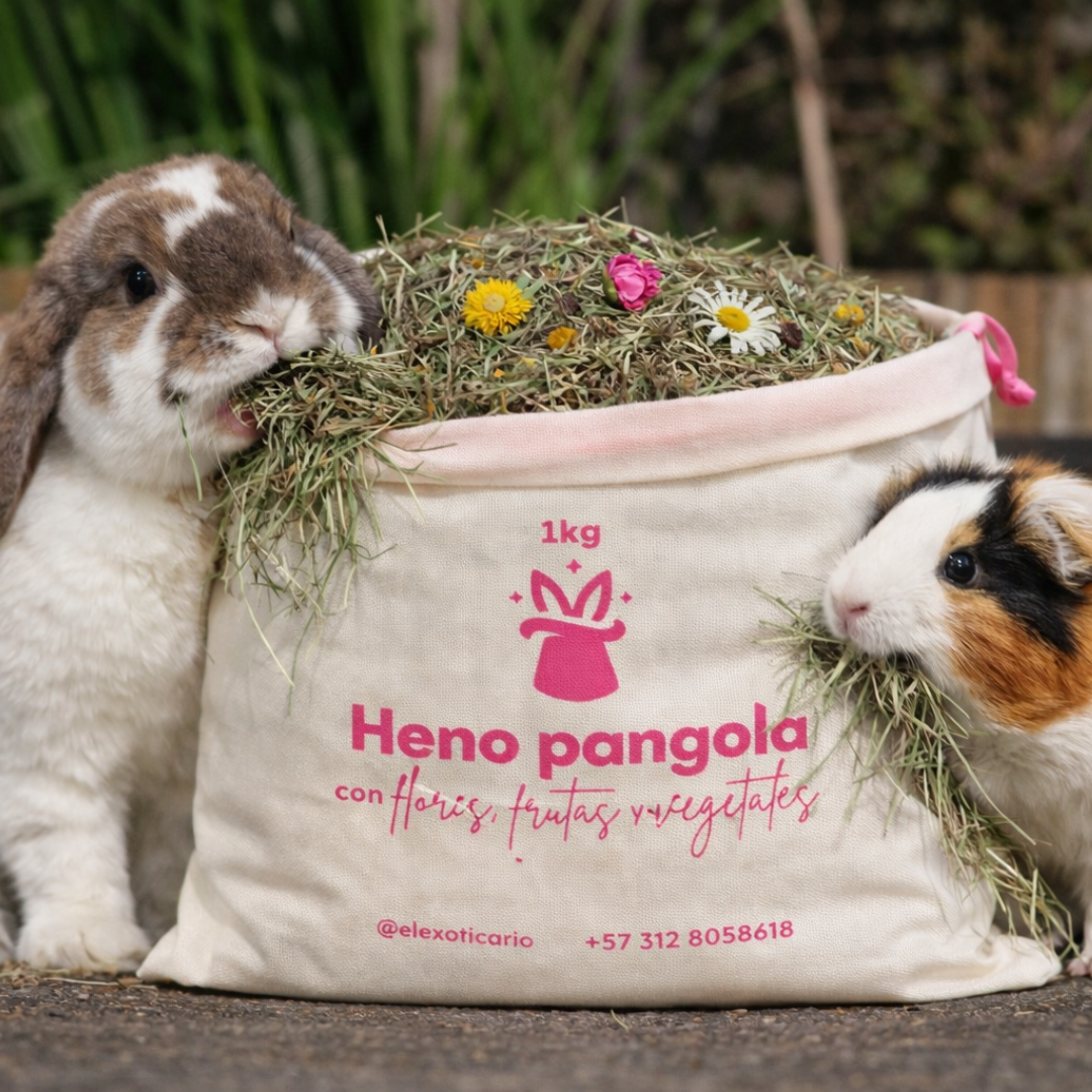 Heno pangola con flores, frutas y vegetales