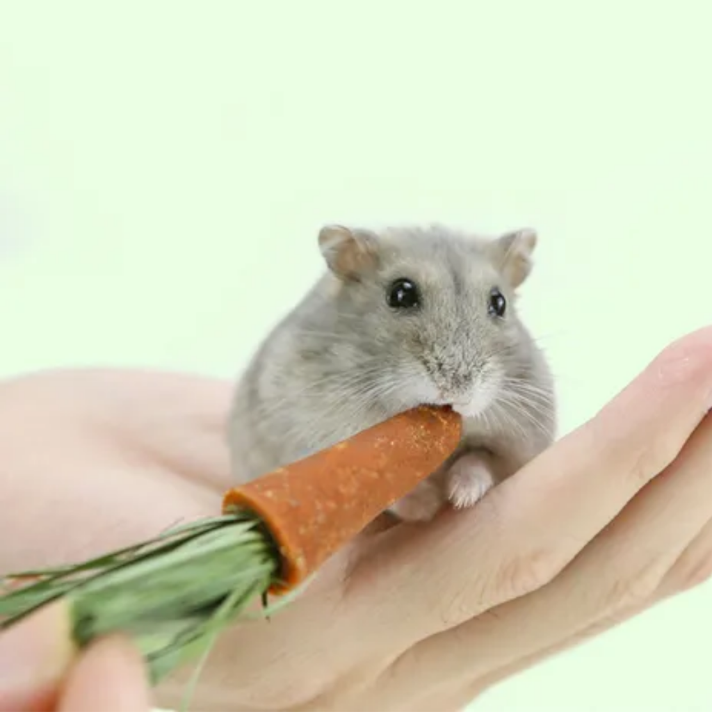 Juguete de Zanahoria