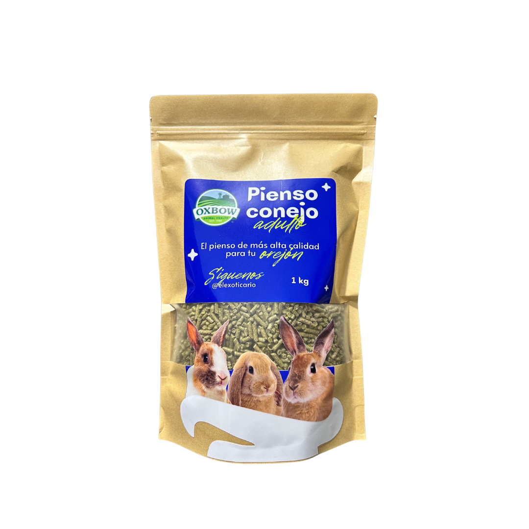 Oxbow Conejo adulto