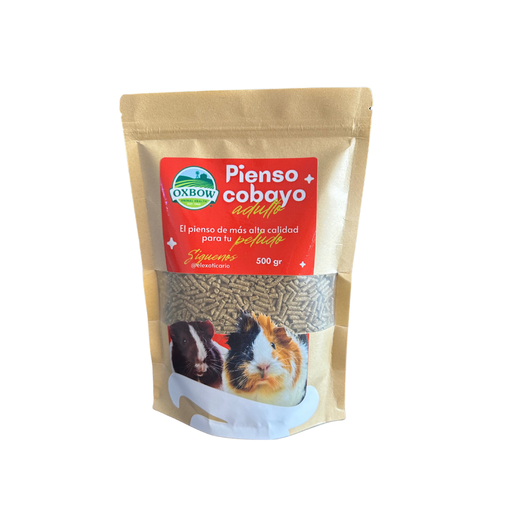 Oxbow Cobaya adulto