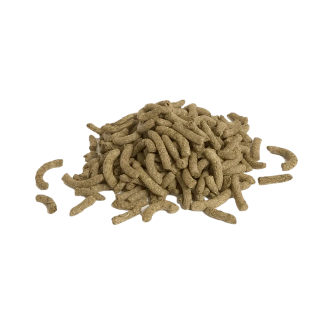 Science Selective Conejo adulto